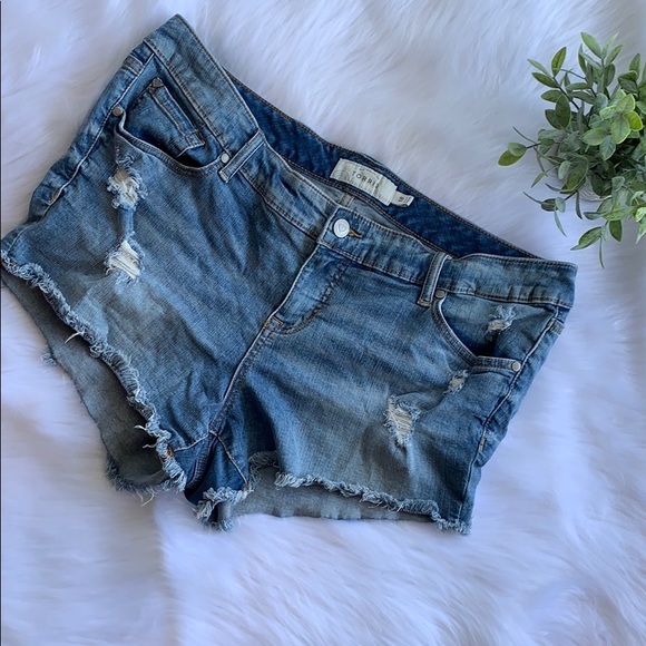 torrid Pants - Torrid blue jean shorts